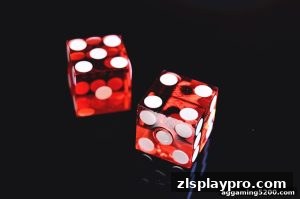 AG真人 zlsplaypro